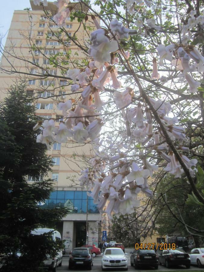 The Best Location Accommodation Bucharest Exterior photo